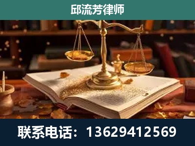 项城-新型网络犯罪